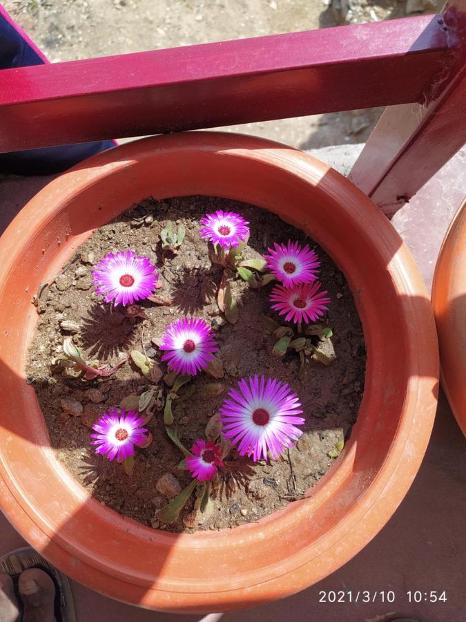 Hawalbagh Mangalmurti Himalyan Homestay מראה חיצוני תמונה